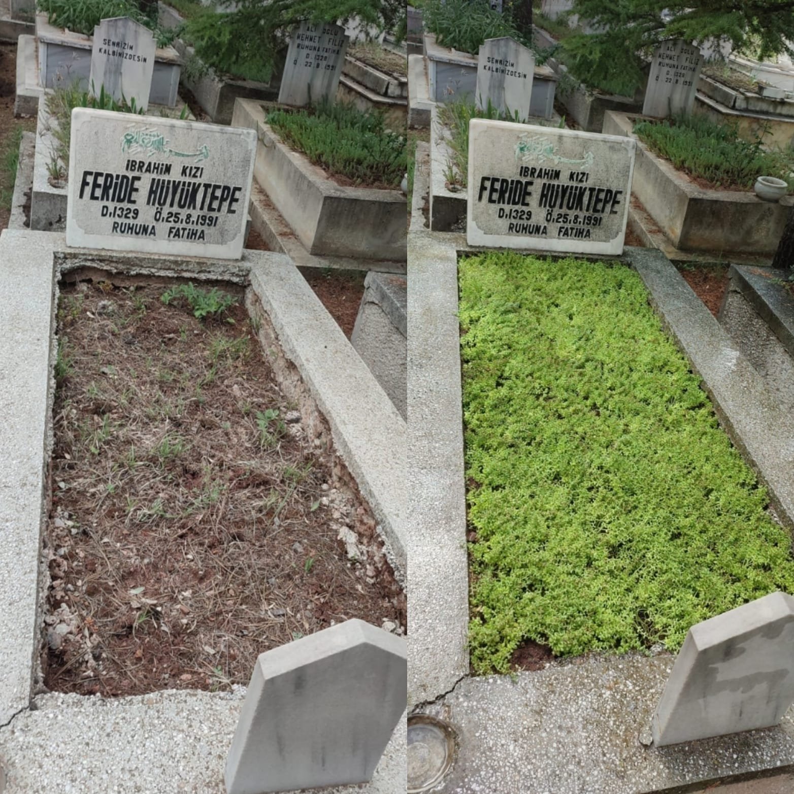 Asir Kabir Kabim - Eskişehir Asır Kabir Bakım ve Peyzaj