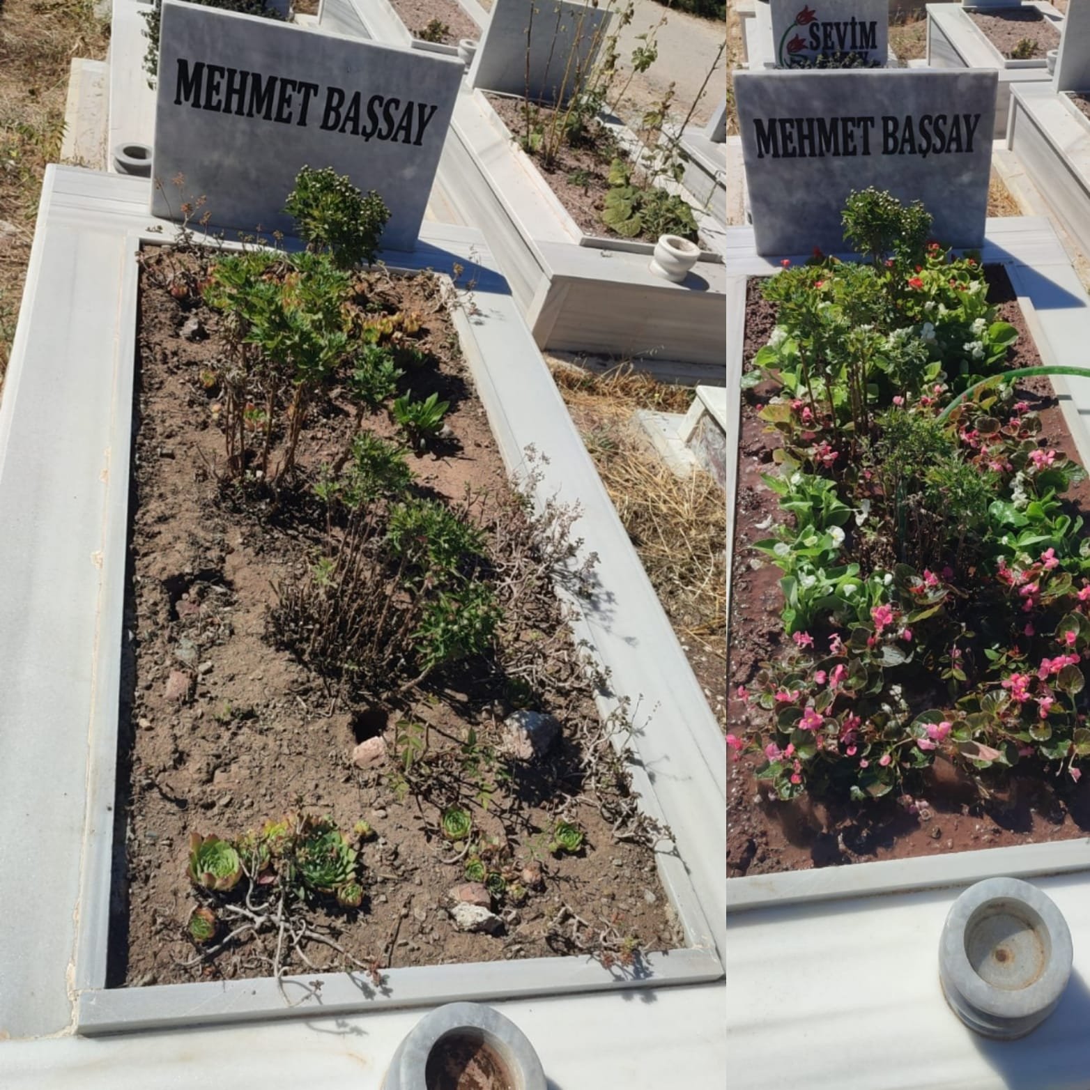 Asir Kabir Kabim - Eskişehir Asır Kabir Bakım ve Peyzaj
