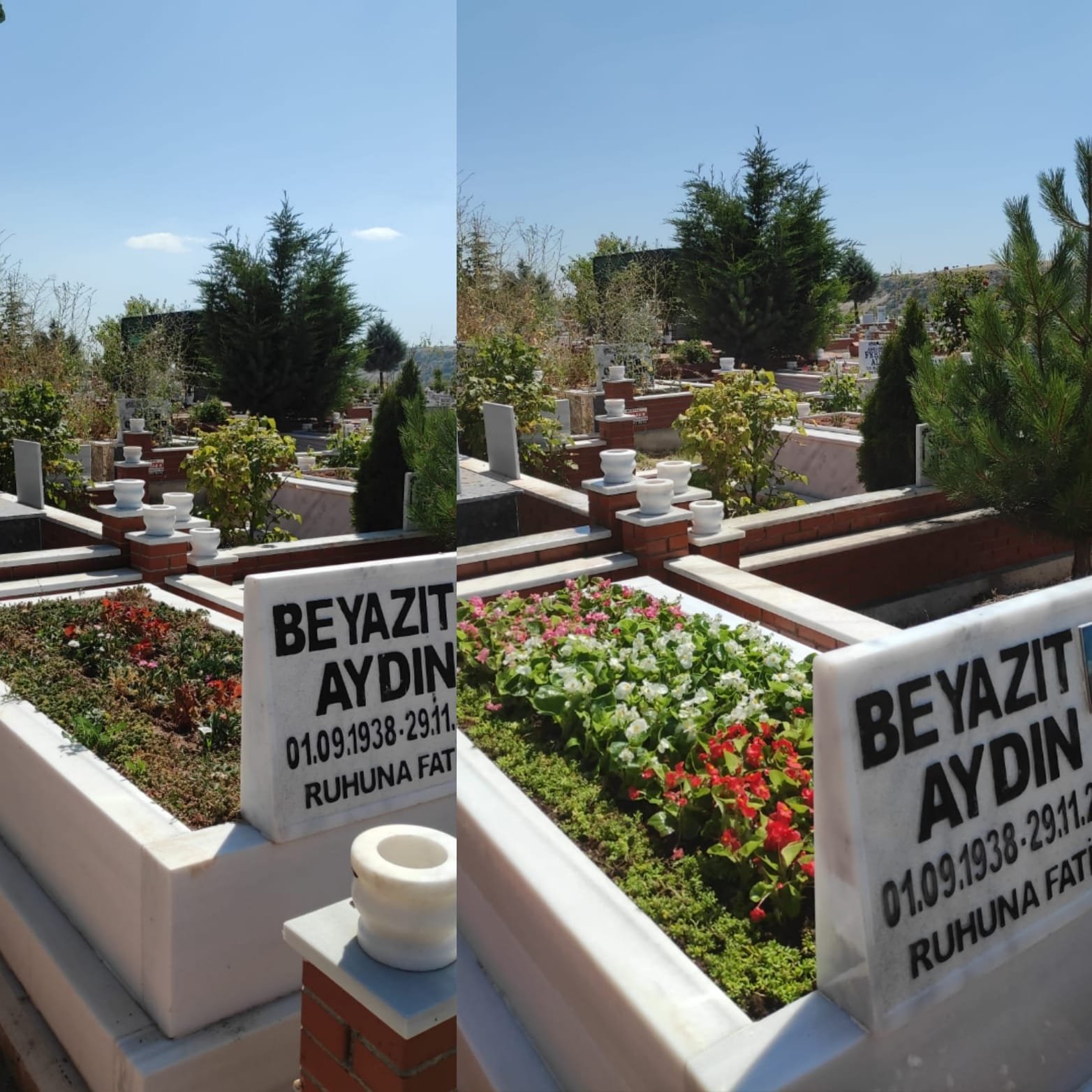Kabir Canlı Çiçek Yenileme ve Periyodik Bakım Öncesi Sonrası