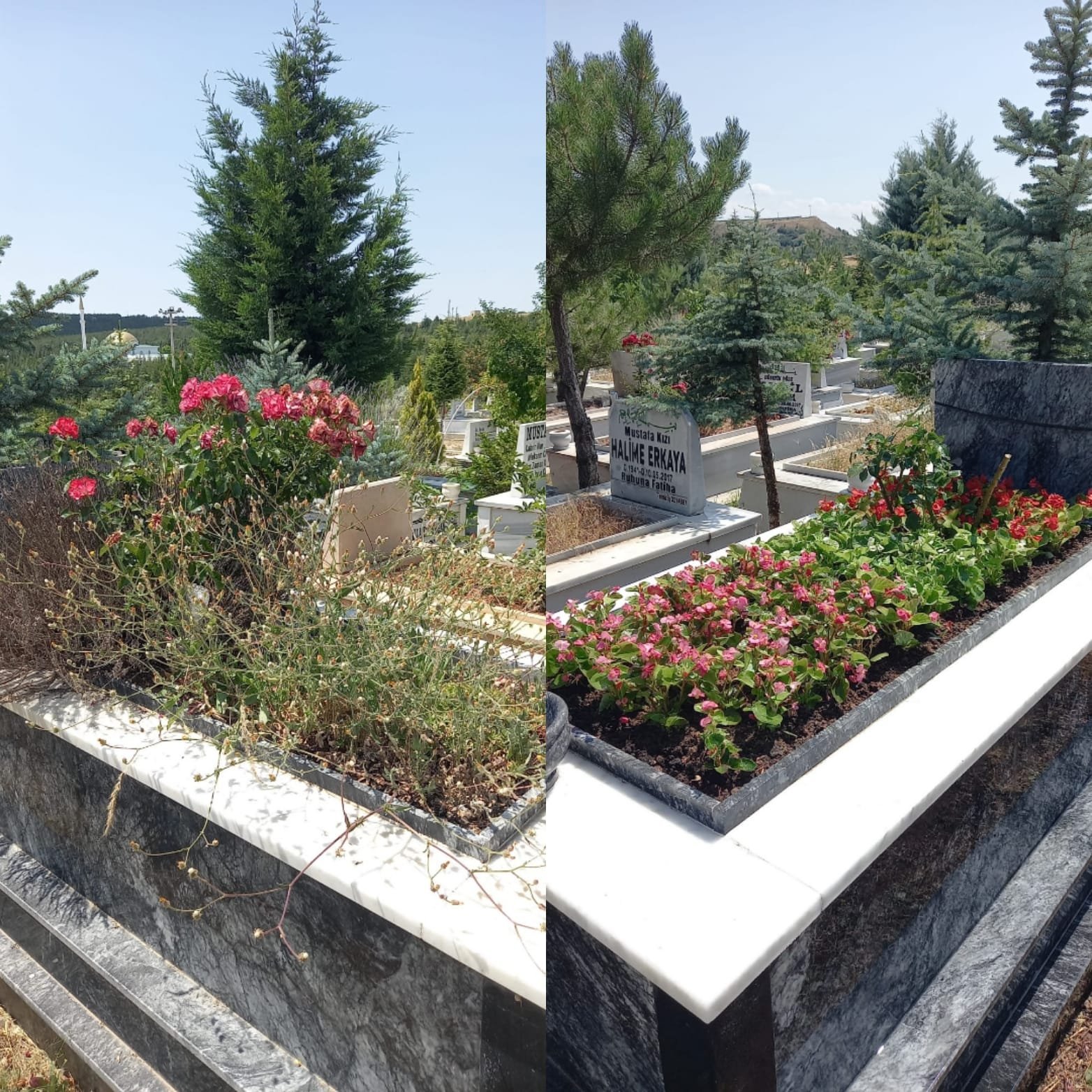 Siyah Granit Mezar Çiçeklendirme ve Bakım Öncesi Sonrası Eskişehir