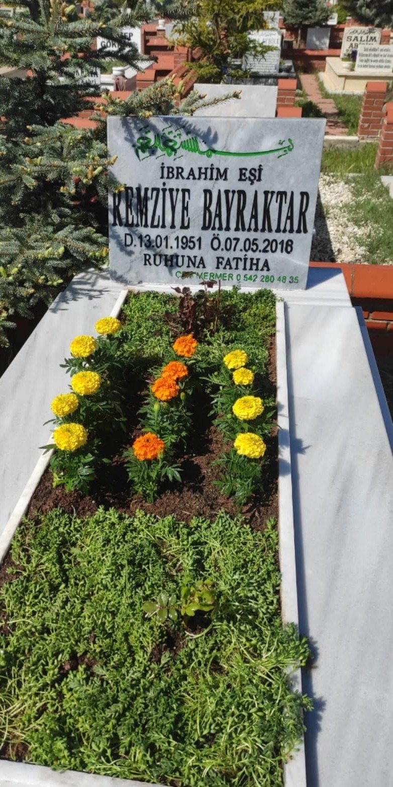 Eskişehir İklimine Uygun Mezar Çiçekleri: -20°C Don ve Yaz Kuraklığına Dayanıklı Türler