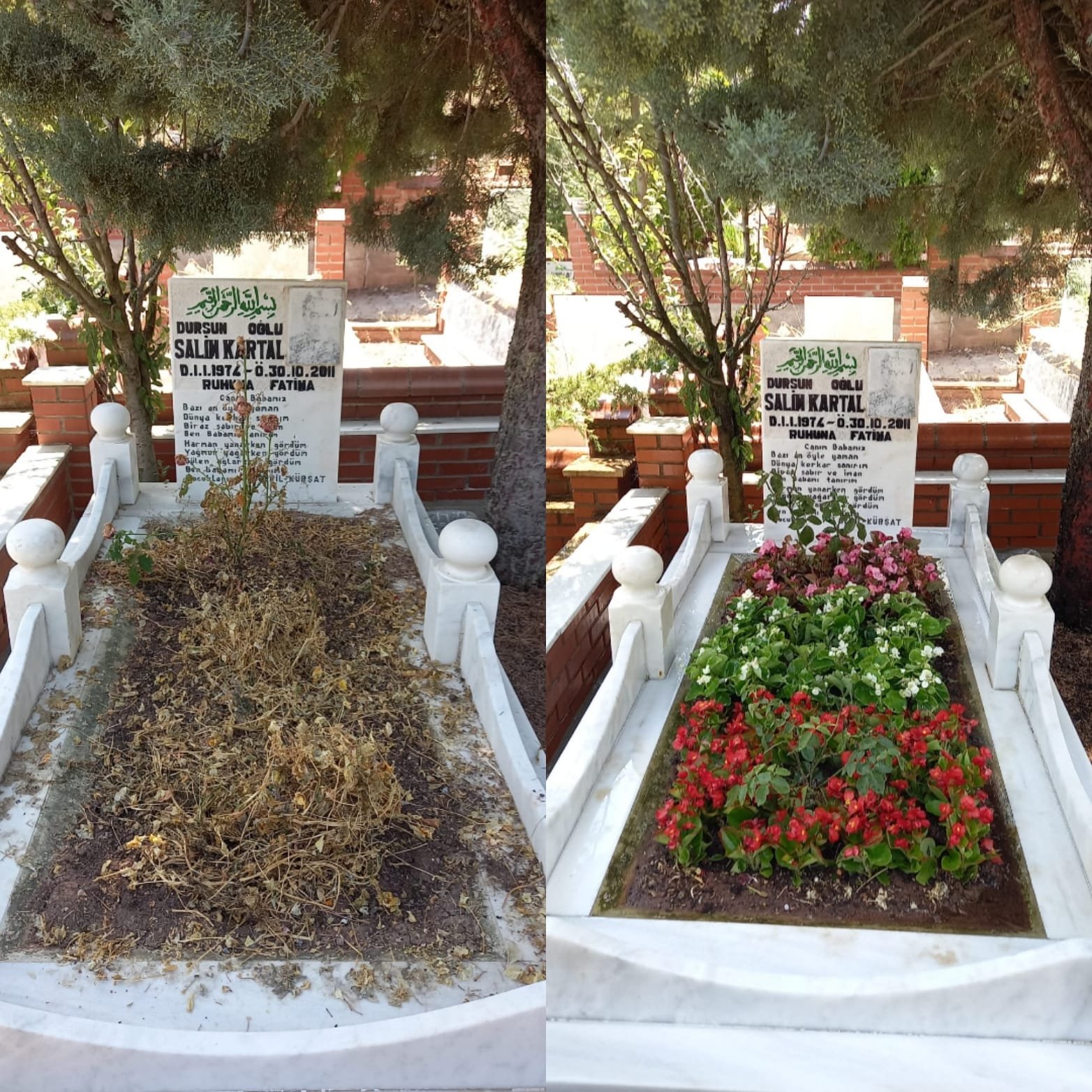 Mermer Mezar Çerçeveli Bakım Öncesi Sonrası Canlı Çiçek Dolgusu Eskişehir