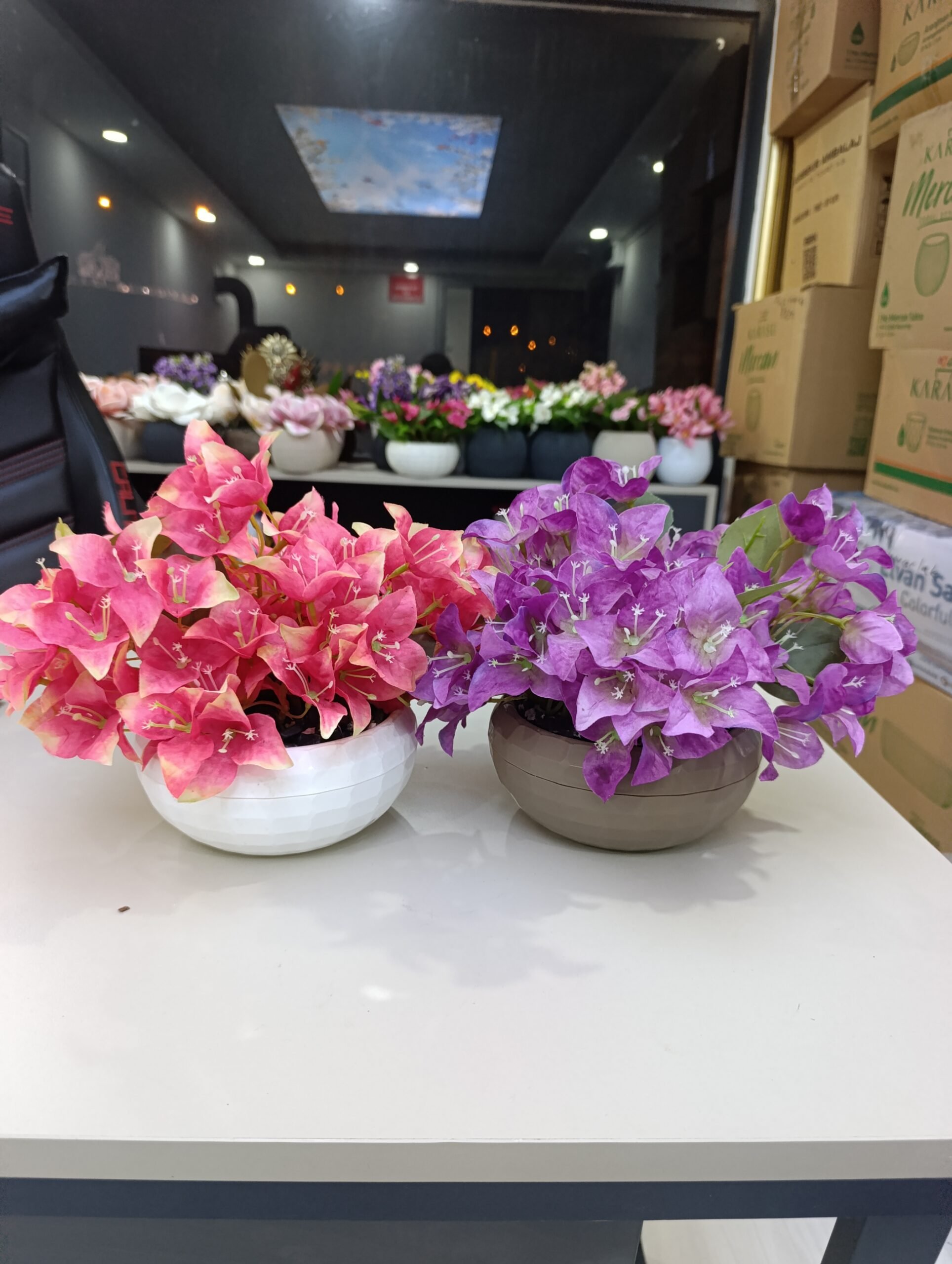 Y20 Begonvil Çiçeği - Görsel 2