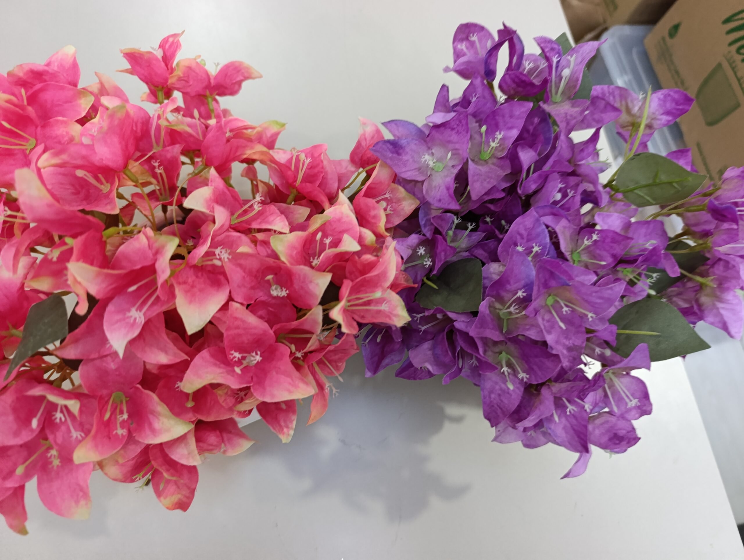 Y20 Begonvil Çiçeği - Görsel 3