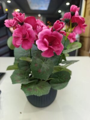 Y40 Yapay Sardunya çiçeği