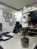 Y101 Yapay Beyaz Orkide