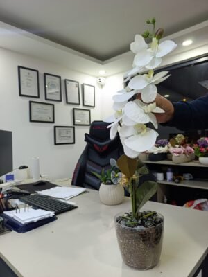 Y101 Yapay Beyaz Orkide